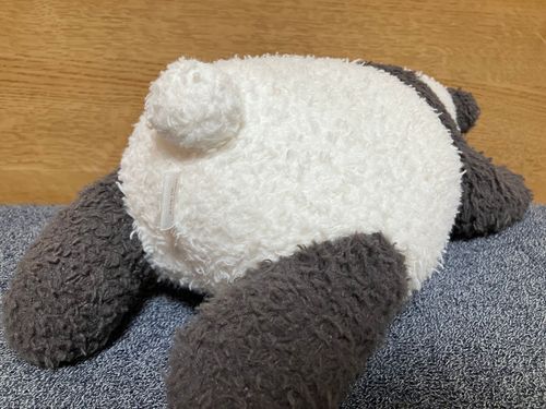 主「あ...あのぉ...2日遅れちゃったけど...お誕生日おめでと...」

とろろ「とろ、拗ねてないよ、ぽてちいいななんて、思ってないよ」

主「oh...sorry...週末いいもの食べさせるから...」