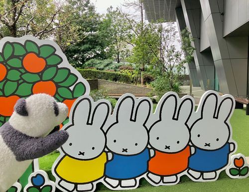 いっぱいうさぎがいる！おーい！！！

主「避けられてるみたいになってるやで...」