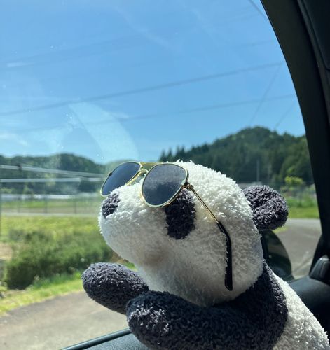 ゴールデンな天気だぜ...😎