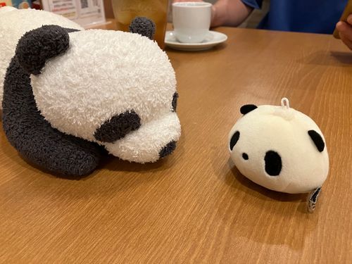 珍しいパンダがついてきてるじゃん