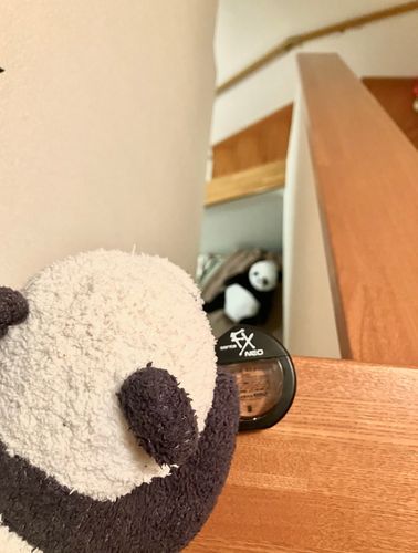 オレは新しい言葉を覚えた！
「二階から目薬」ってやつ！！！
早速実践するぞ！！
いくぞ、部長ー！！！！！