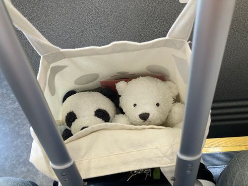 🐼どこいくん！？
🐻‍❄️わくわく♪
