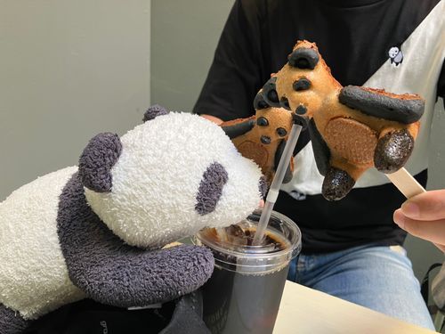 .........なんか圧を感じる...
謎のパンダにめっちゃ見られている....