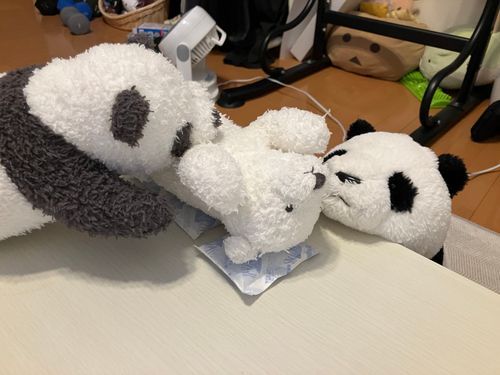 なんかこめこが倒れてて
とろと藤原に看病されてて草