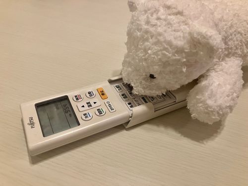 こめこ「こめこです!最近ぱんこってば、ぜーんぜん更新しないし、もうこめこのアカウントにしようよ!って主に交渉中!!
こめこは最近はエアコンの番人って呼ばれてるの!
夜勤のアルジィが帰ってくるちょっと前にポチってしてあげるの!
ぱんこと違ってお役立ちパンダなの♪」