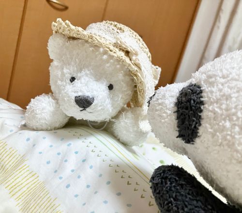 ぱんこ🐼「あと帽子。これでアルビノでも外出れるだろ。(まぁ主が買ったんだけど)」
こめこ「かわいい...!!!けど根本的に涼しいわけではないな...」
ぱんこ🐼「お前元々暑がりじゃなくて日差しが苦手って設定なの...忘れてるだろ...白いパンダさんよぉ...」