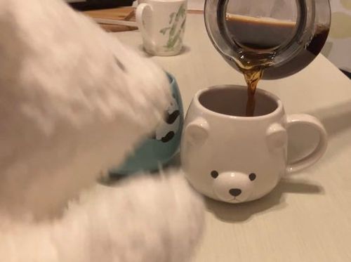 こめこ「アチアチコーヒー!!!!見てるだけでゾワゾウするのうぎゃああああ!!!!」
主「知ってる?パンダって元々は白だったけど珈琲や紅茶の茶渋で白黒になったの」