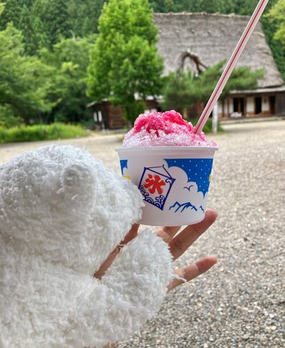 こめこ「あつ...あついの...あちゅ...タスケテ........あ、氷...氷...」
