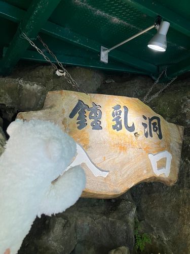 こめこ「こめこはこれを待ってたのよ!!!これのためについてきたのよ!!!!」