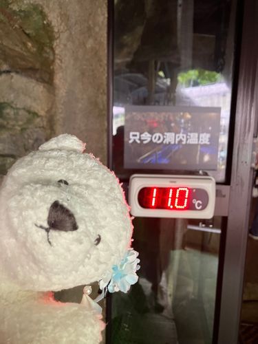 こめこ「楽園キターーーー!!!!!!!!!!!!!!」