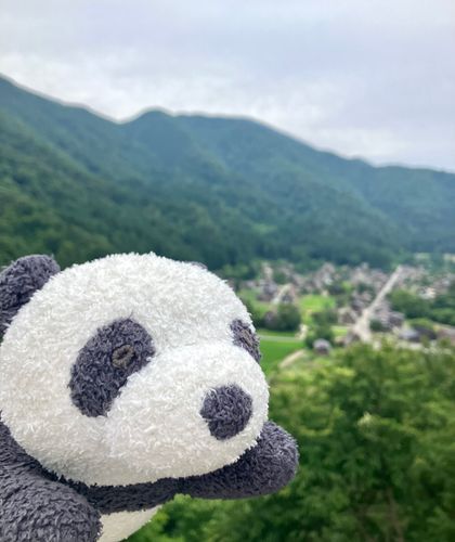 ぱんこ「これは昨日の写真だ!!!どこかわかるかー?!?」
主「ピント持ってくのやめてください、背景全くわかんないです...」