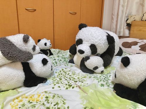 ぱんこ「グヘ...お、おもい....」
とうふ「兄貴よりデケェ!!!」
とろ「お名前はー?」
??「究極完全体ぱんこEXです」
ぱんこ「超究極完全体アルティメットぱんこDX!!だぞ!!!」
??「あっそれです。」
だいず「それが本名なん...?」