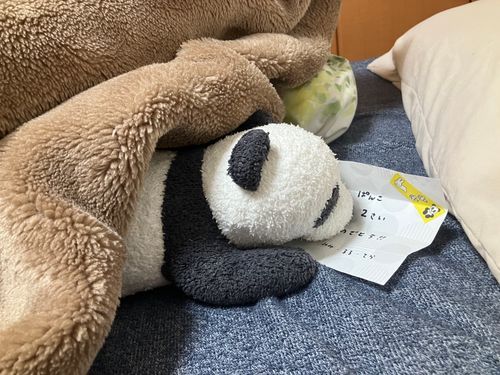 ぱんこ「昔はもっと派手に祝ってもらったのに...」
主「私の誕生日に一緒にレストランも行ったじゃん」
ぱんこ「それはそれ、今日は今日だもん」
主(2年前の🐰からの手紙抱えて拗ねてる......)