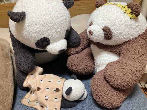 ぱんこ「まだオレの誕生日...終わらな...💤」
こめ田さん「まだまだ子供ね」
ぱん田さん「おやすみぃ〜」