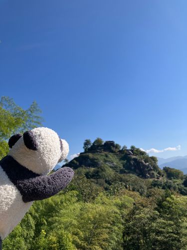 なんかたぶん...遺跡!!!!