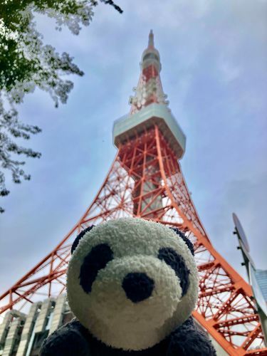 Tokyoのシンボル?思ったより低かった