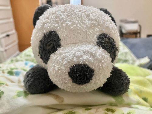 おい！今日パンダの日だってよ！！！