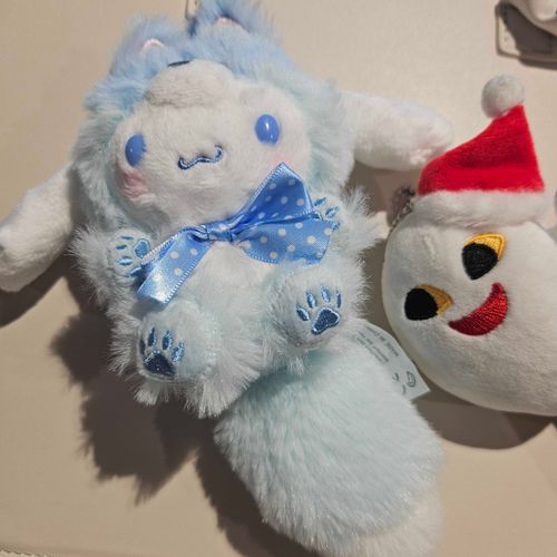 キタキツネのシナモンくん！
しっぽがかわいい🩵