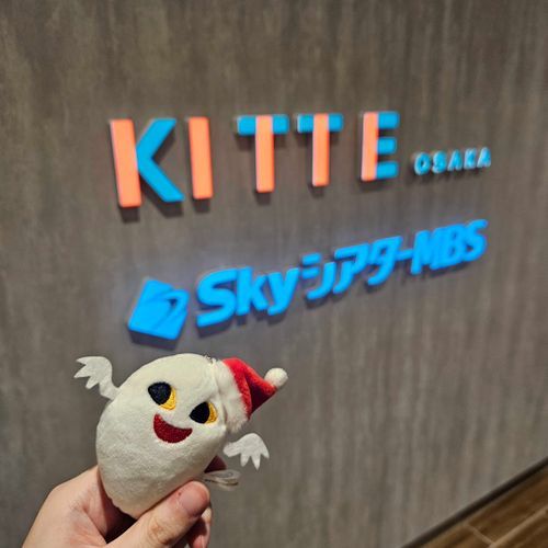 ひゅ〜どろどろ👻
はやくナイツのみんなにあいたい🥰