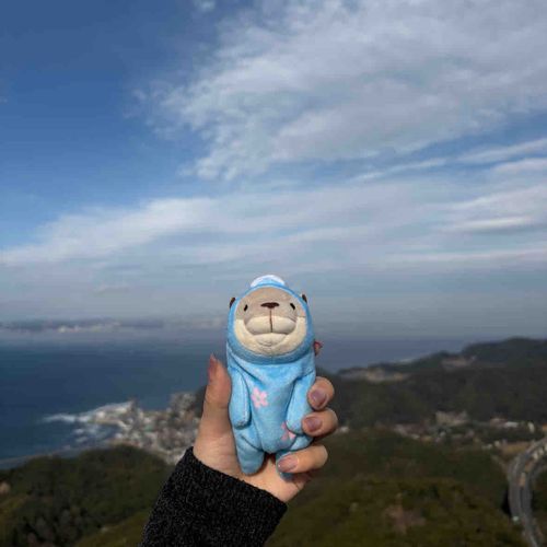 2026ねん！みーみーも、しあわせにくらします