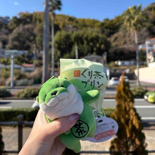 ご当地もちかわお迎えのために主は旅に出ました！