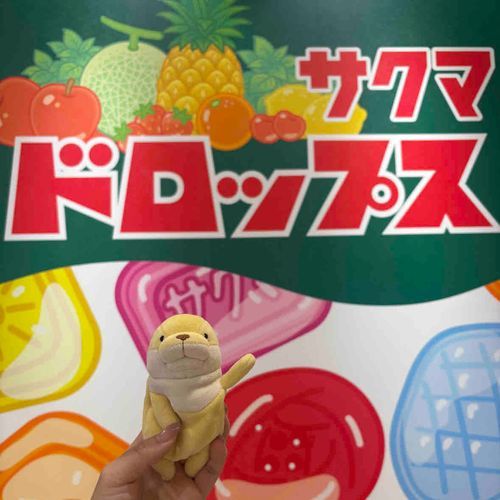 どろっぷす！つめほうだいしてきた！