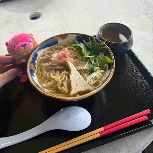 ご当地かわうその旅in沖縄

あたまにハイビスカスついてるんだ〜