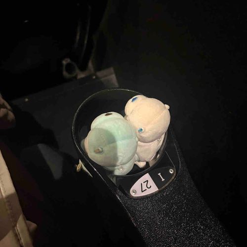 えいがをみにつれていってもらったよ〜！めめいけめんだった