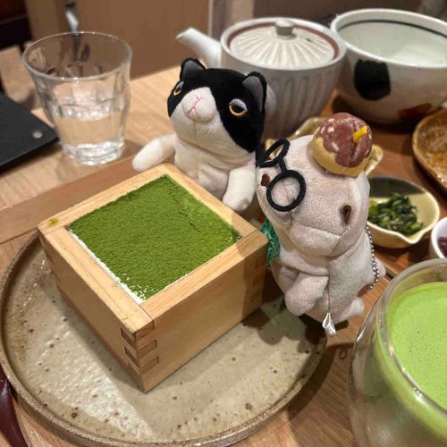 きょうと たのしかったな〜
ぶぶちゃんとも あそんだからね