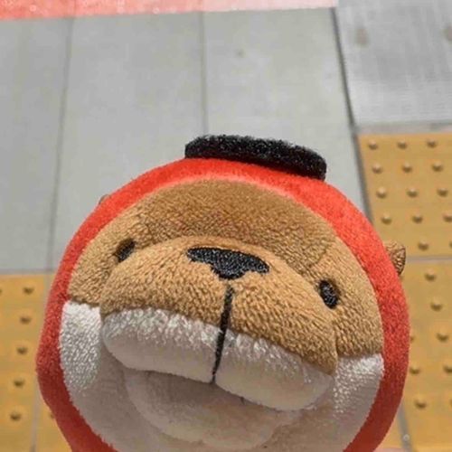 ずまずまです どあっぷ いただきました
