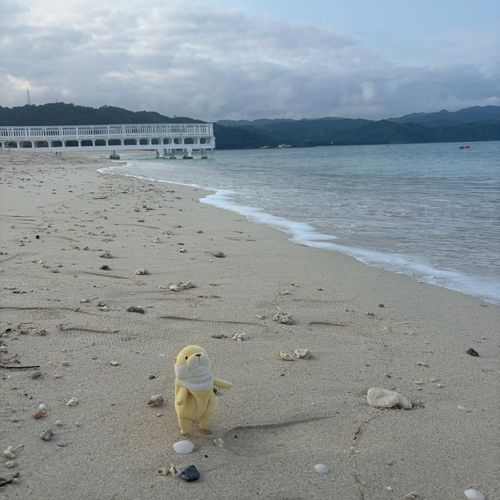 ぷーてぃーです！おきなわきました