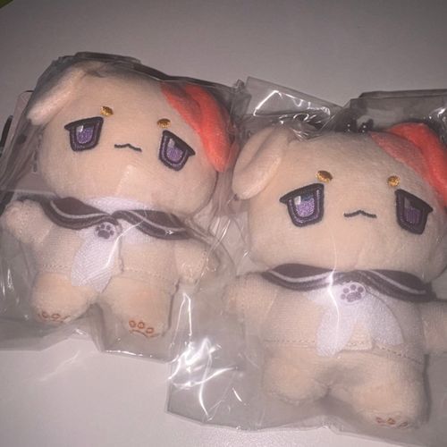 お迎えした日　一番かわいいね