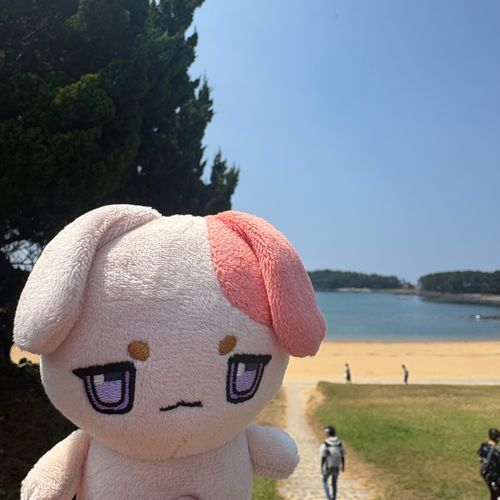 また来年の夏もいっしょに海いこうね