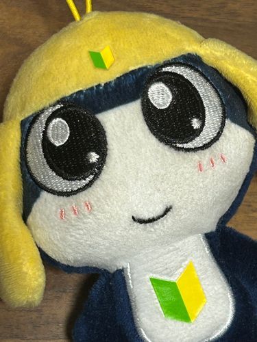 タママ二等!ペコポン侵略ですぅ〜!
ぐんそーさんにもカッコイイ姿見せたいですぅ✨