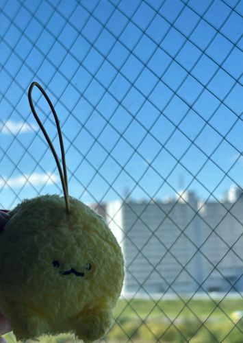 今日はいいてんき