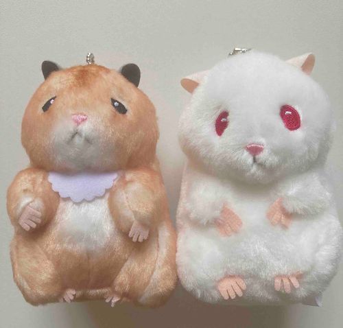 新入り