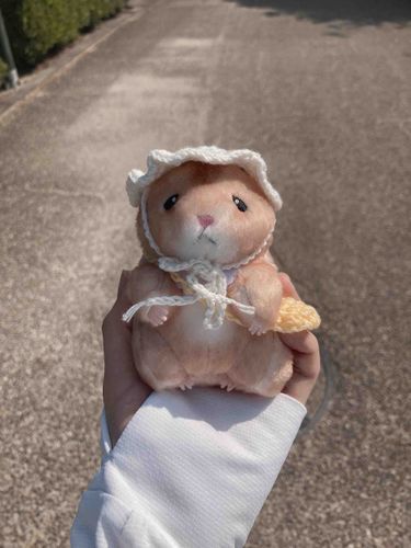 朝のお散歩 暑すぎよな