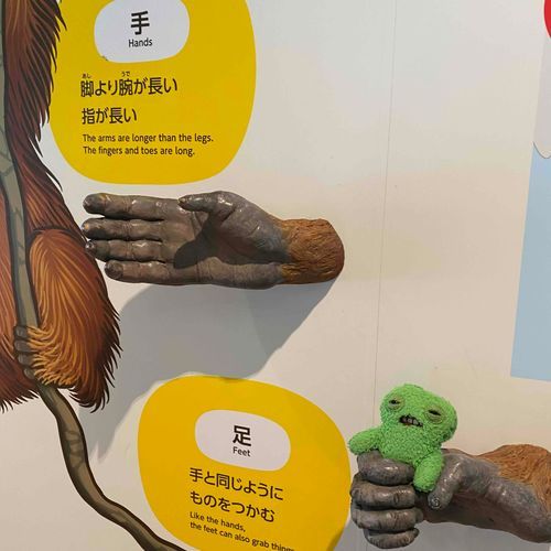 握り、握られ