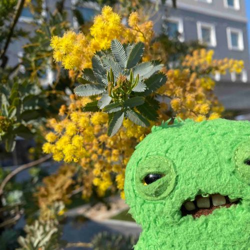 今じゃ、ない。
