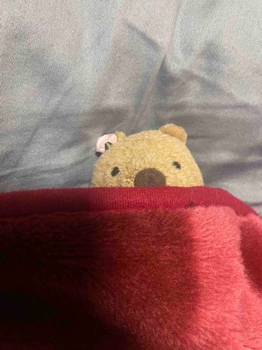 いっしょうじっかでごろごろしていたいです
おおさかにもどりたくないです