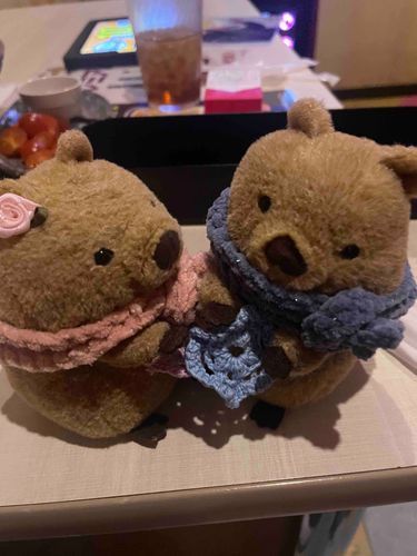 とっぽとひさびさにあいました😊
ニンゲンどうしがけんかしていたようでなかなかあえなかったです
なかなおりしたそうなのでまたあそびたいです