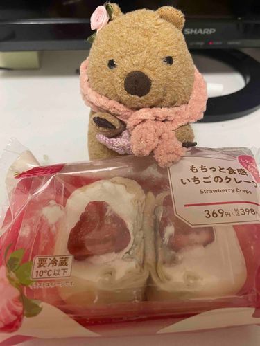きょうはもなかの2さいのたんじょびです😊
おいわいにこんびにすいーつをかってもらいました
いかはニンゲンにすまほかしてあげたのでニンゲンからです↓

もなかをお迎えして2年になりました。あっという間に2歳…！
たくさんいろんなところにお出かけして仲間も増えてもなかのおかげて毎日が楽しいです😊
ふわもこのみなさんと知り合えたのももなかのおかげなので感謝しています。
これからもたくさんいろんなところにおでかけしようね✨