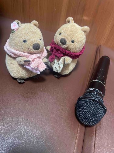 やんやんとからおけにいきました😊
やんやんとあそぶのたのしいです