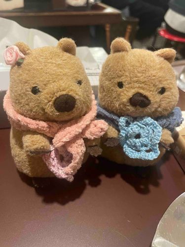 きのうはとっぽとあいました😊