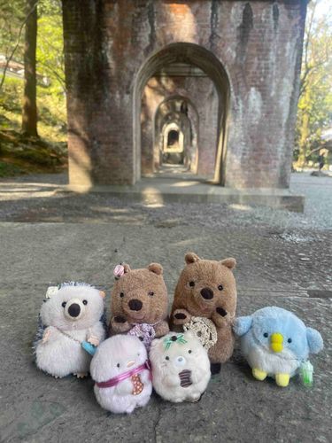 みんなできょうとにいきました😊
とてもたのしかったです