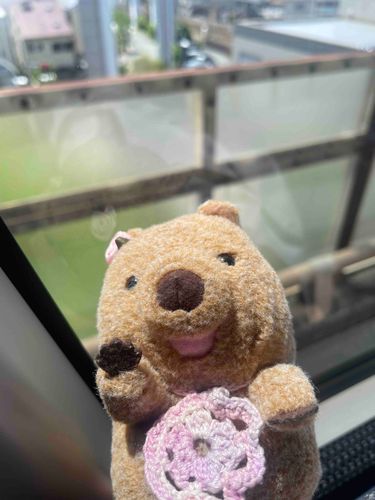 ニンゲンのじもとにきせいしました
ばすのたびもたまにはよいですね😊