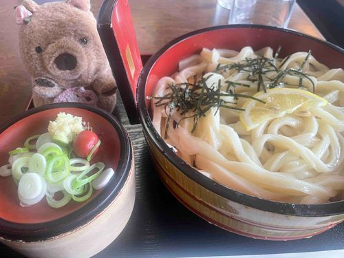 らんちにうどんをいただきました😊
ここのざるうどんがだいすきです