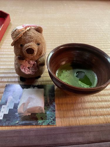 きのうはもーちゃんにふわもこをのっとられていました
きをつけます
せんじつきょうとでおまっちゃをいただいたときのしゃしんです😊
こおりがはいってておいしかったです