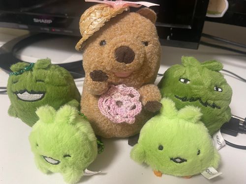 ずっとしまいこんでいたしんいりのみんなときねんさつえいです😊
いちじじゅうちゅうのこたちです
あまりおでかけはしないとおもいますがおうちでもなかたちのことをみまもってもらいます