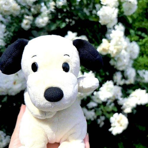 かしこ犬ぬいぐるみ
